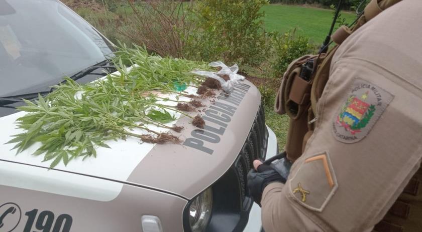 Após demissão, homem esfaqueia colega de trabalho no Oeste de SC