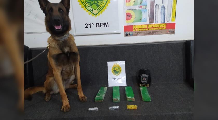 PM fecha ponto de tráfico de drogas no bairro Novo Mundo