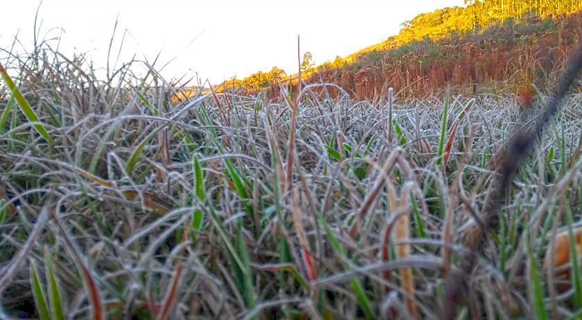 Santa Catarina tem temperatura mais baixa registrada no ano
