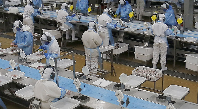 Paraná começa a semana com 25,8 mil vagas de emprego