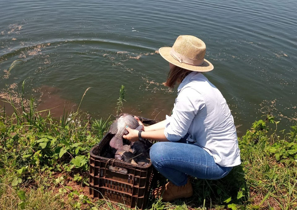 PR reforça liderança nacional na produção de peixes de cultivo