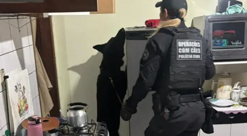 Operação prende 21 suspeitos de integrar organização criminosa no Paraná, SC e SP