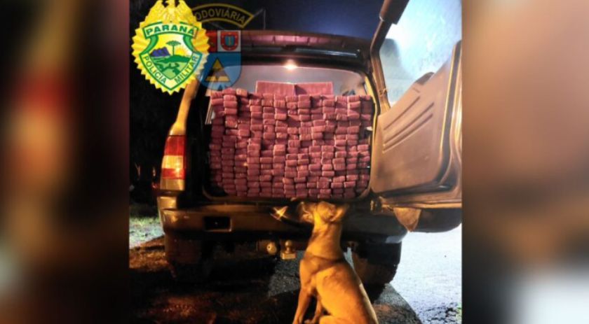 PRE apreende veículo carregado com 150 kg de maconha; um homem foi preso