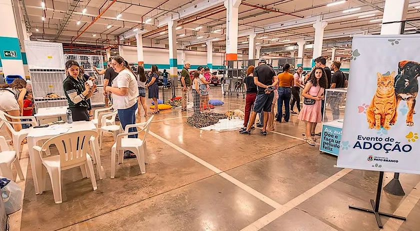 Mais 39 animais ganham um novo lar