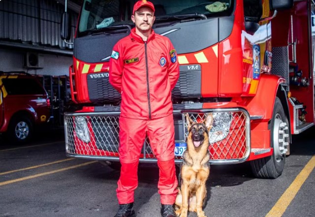 Bombeiros preparam cadela de salvamento para auxiliar em ocorrências no sudoeste do Paraná