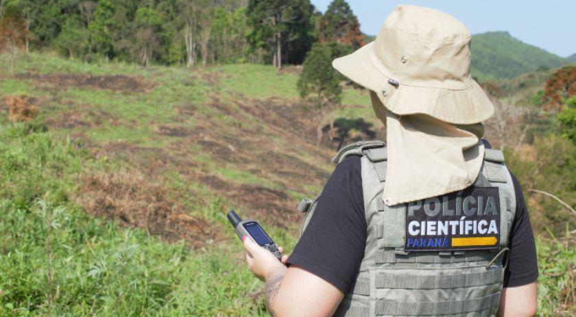Polícia Científica já concluiu mais de mil requisições de perícia para crimes ambientais