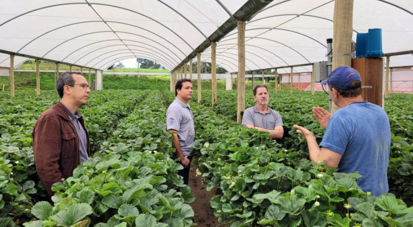 Projeto de pesquisa vai testar tecnologia para reduzir perda de água na irrigação