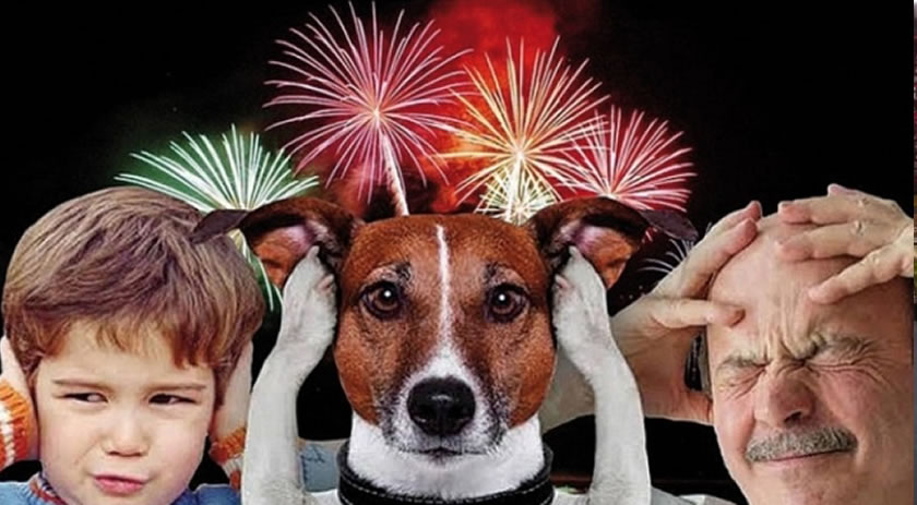 SC proíbe venda de fogos com estampido e dá 180 dias para comércio se adequar