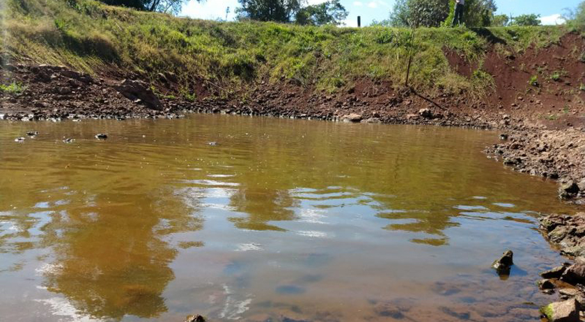 Governo do Estado reconhece situação de emergência em Paraíso e outras quatro cidades de SC