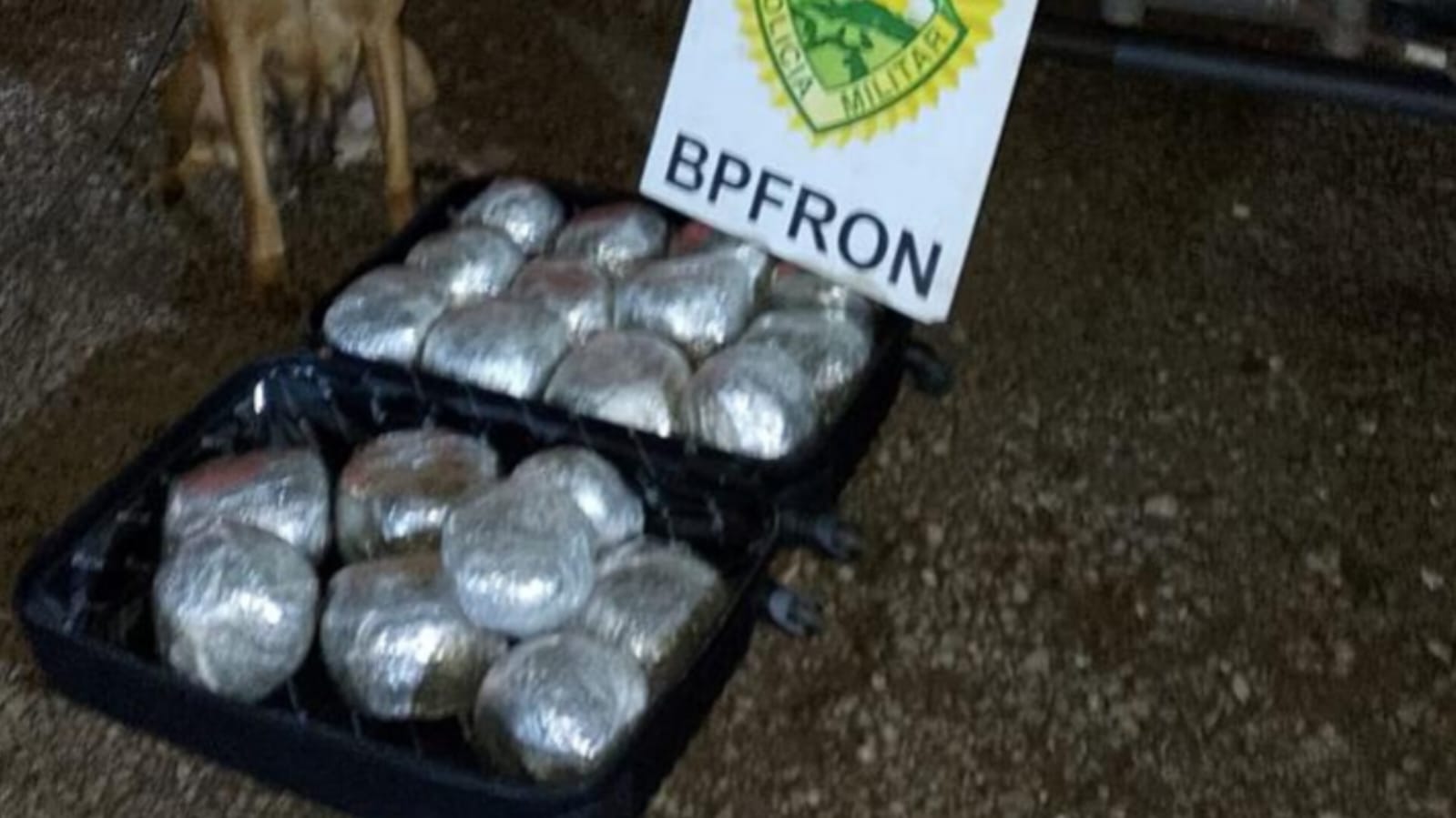 BPFRON apreende drogas em Realeza