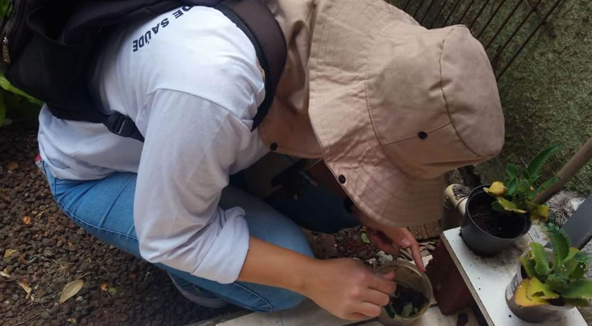 Índice de infestação do Aedes Aegypti tem redução em Beltrão