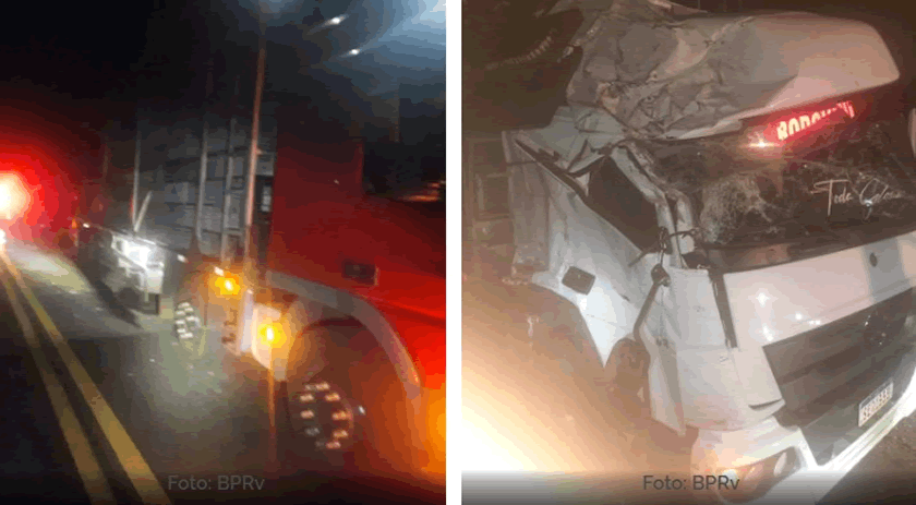 Caminhão carregado com frangos vivos tomba na PR-281