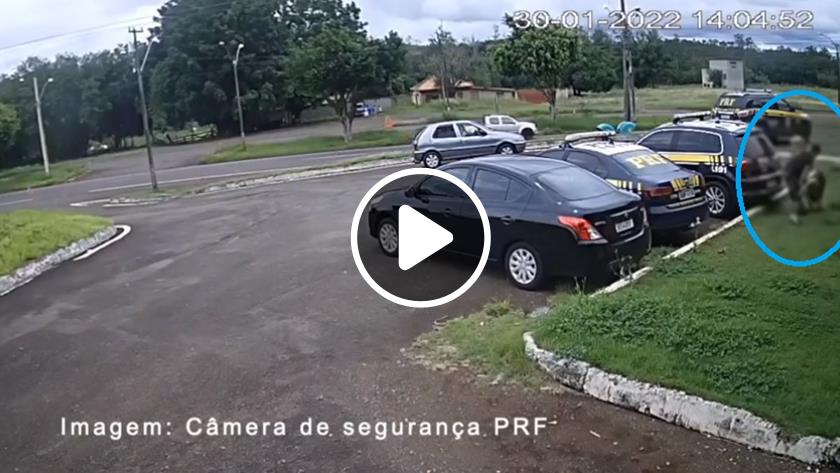 Policiais rodoviários federais salvam criança afogada
