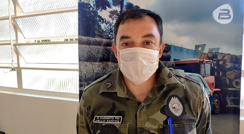 Polícia Ambiental afirma que é comum aparição de onças pardas na região