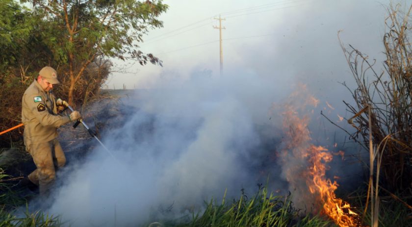 Estado lança nesta semana campanha de prevenção e combate a incêndios florestais
