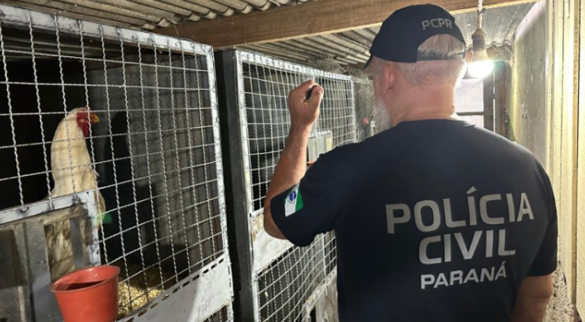 PCPR apreende 390 animais em megaoperação contra rede de tráfico internacional