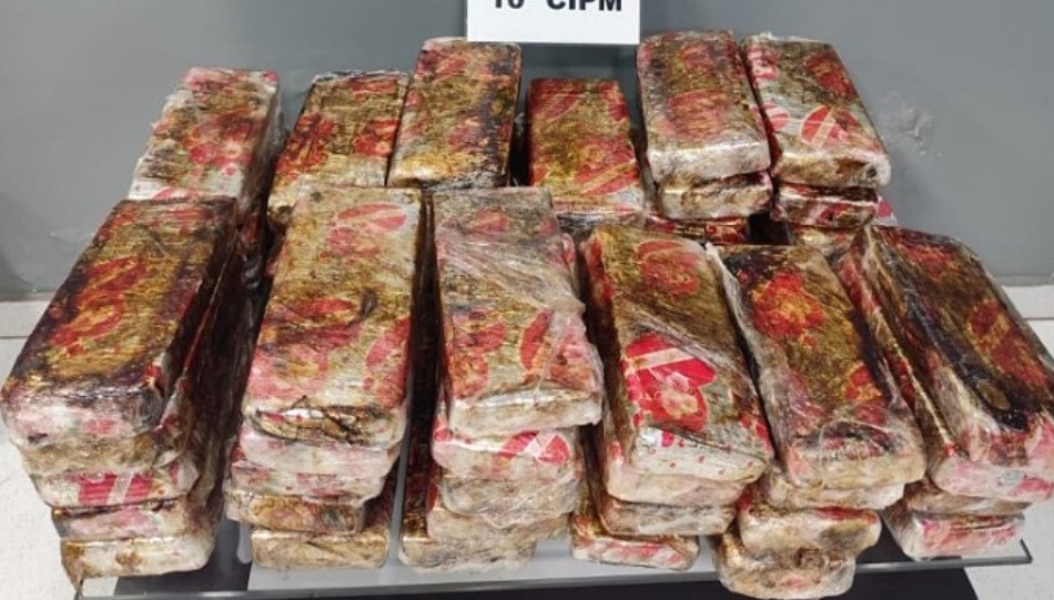 ROTAM apreende mais de 41 quilos de maconha em ônibus na rodoviária