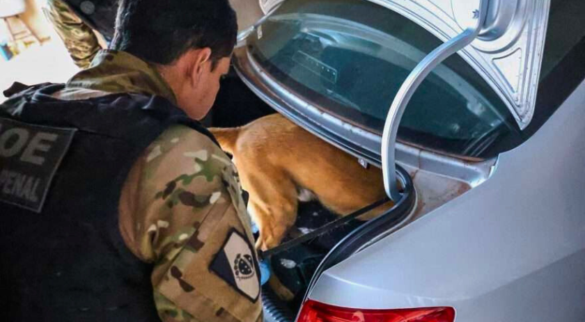 Polícia desmonta megaesquema do tráfico e prende 25 suspeitos em operação interestadual