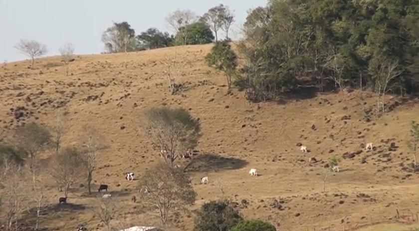 Estiagem deixa 11 municípios de SC em situação crítica pela falta de água; Cinco são do Extremo-Oeste