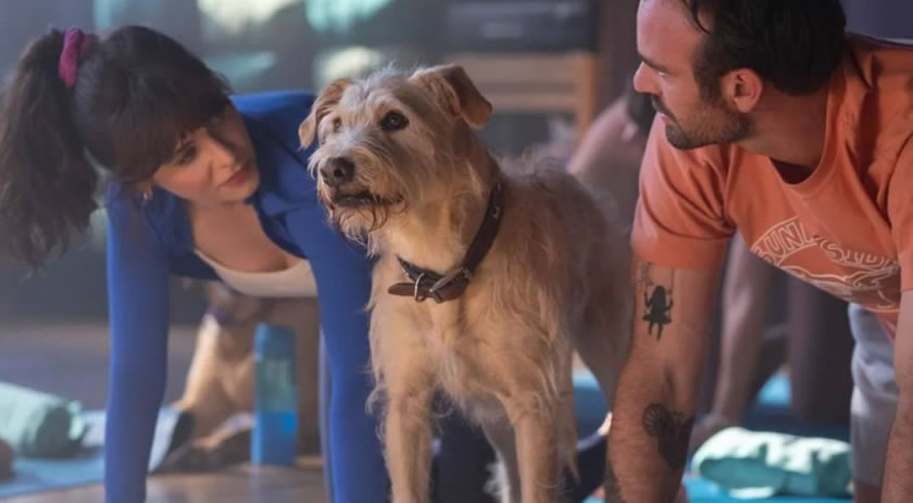 Confira filmes natalinos para assistir com a família