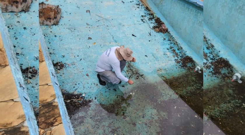 Infestação do Aedes tem redução em Beltrão