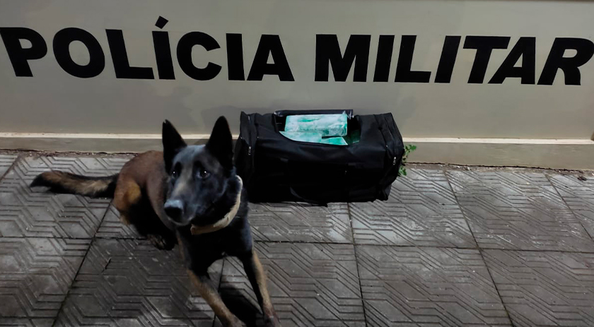 Mulher é presa com quase 27kg de droga em SMOeste