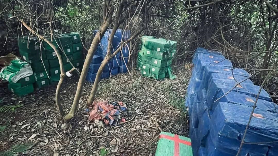 PM apreende mais de 8,5 toneladas de maconha