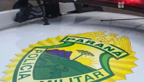Morador denuncia derrubada de árvores e danos em propriedade rural