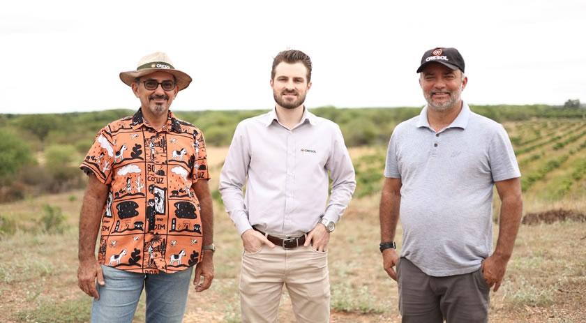 Cresol lidera operações do BNDES para pessoas físicas em 2025 