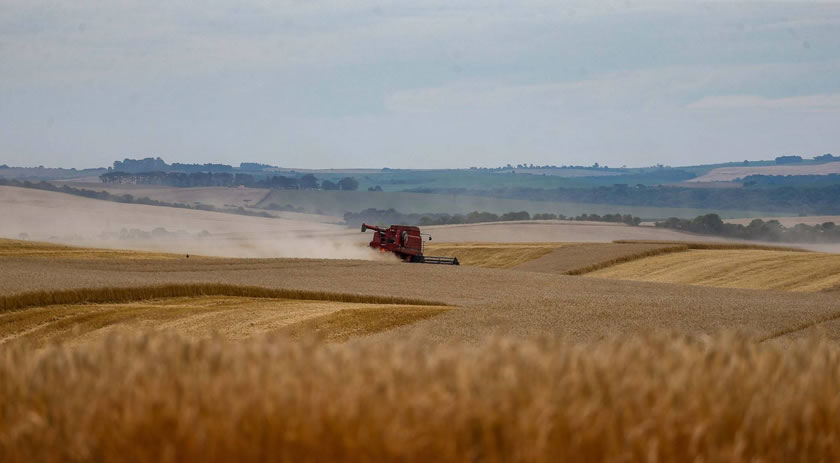 Safra de grãos de verão no Paraná pode chegar a 25,61 milhões de toneladas