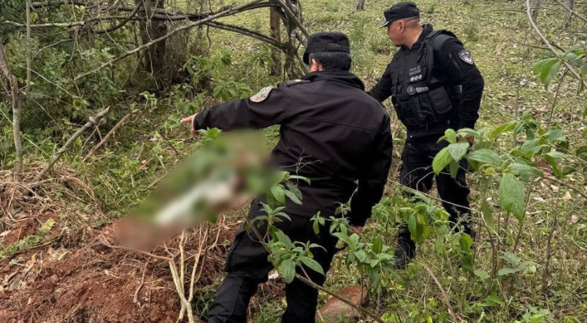 Mulher encontrada morta em área de mata é identificada como moradora de São Miguel do Oeste