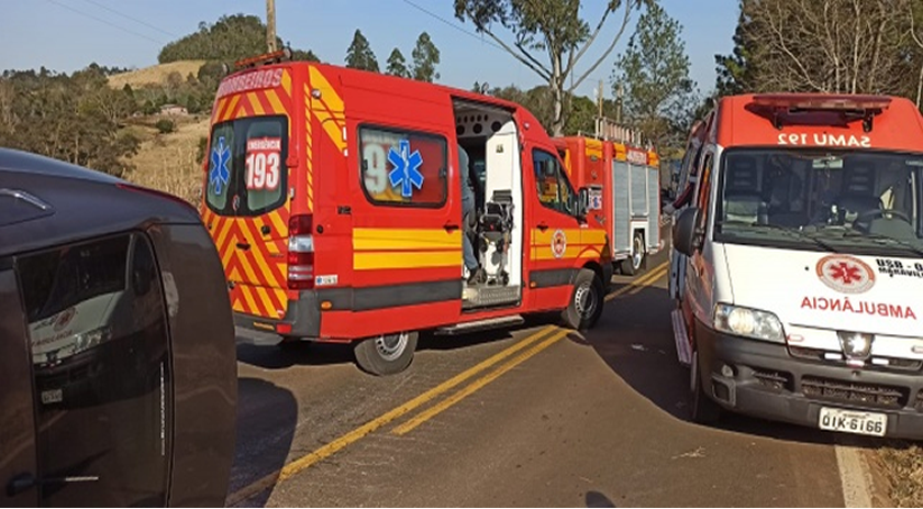 Motorista passa mal enquanto dirige e colide em árvore