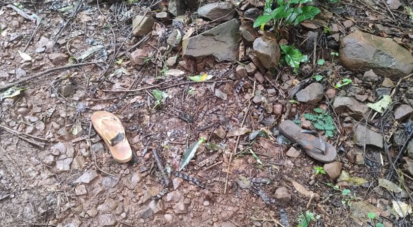 Mulher com deficiência que estava desaparecida em Capanema é encontrada morta com sinais de abuso