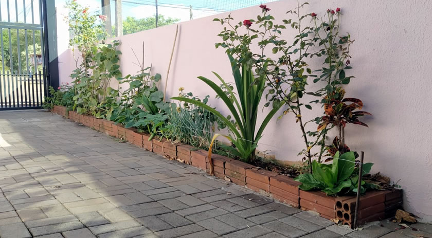 Você também tem um canteiro na sua casa?