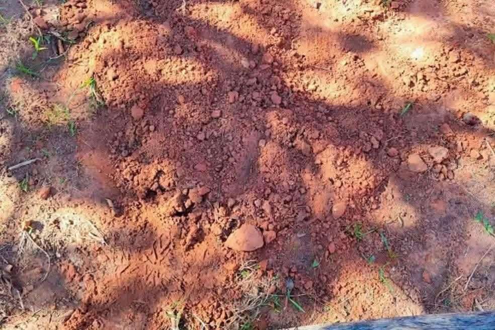 Polícia encontra corpo de bebê sendo incendiado em quintal