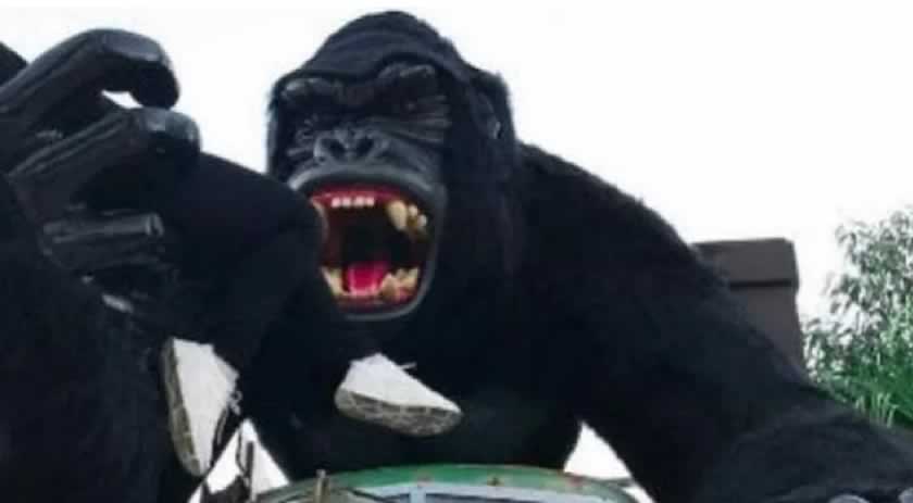 Criança de 6 anos sofre traumatismo craniano após cair de atração em parque