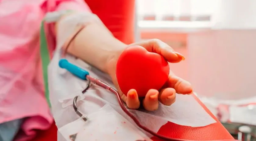 Hemonúcleo faz apelo urgente por doadores de sangue O+