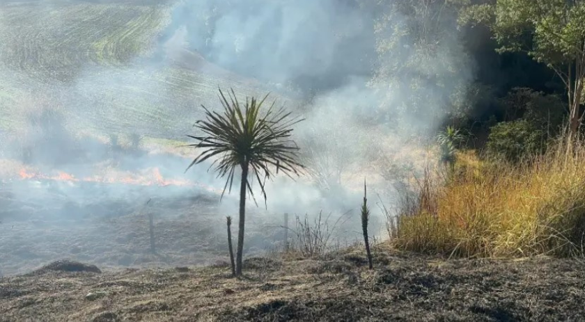 Incêndio atinge mata às margens da rodovia entre Marmeleiro e Flor da Serra do Sul
