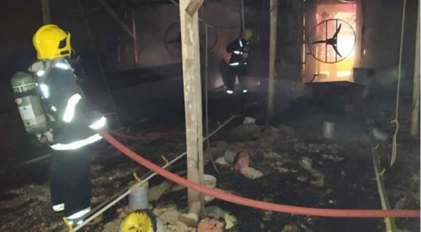 Incêndio atinge aviário no interior do município