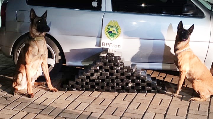 BPFRON apreende 54kg de maconha e prende jovem de 23 anos em Barracão