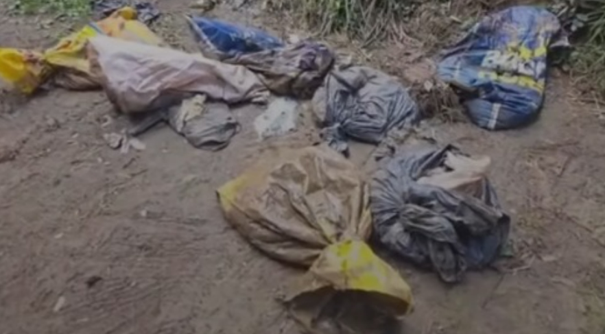 Dezenas de cães mortos são encontrados dentro de sacos de lixo em Lages