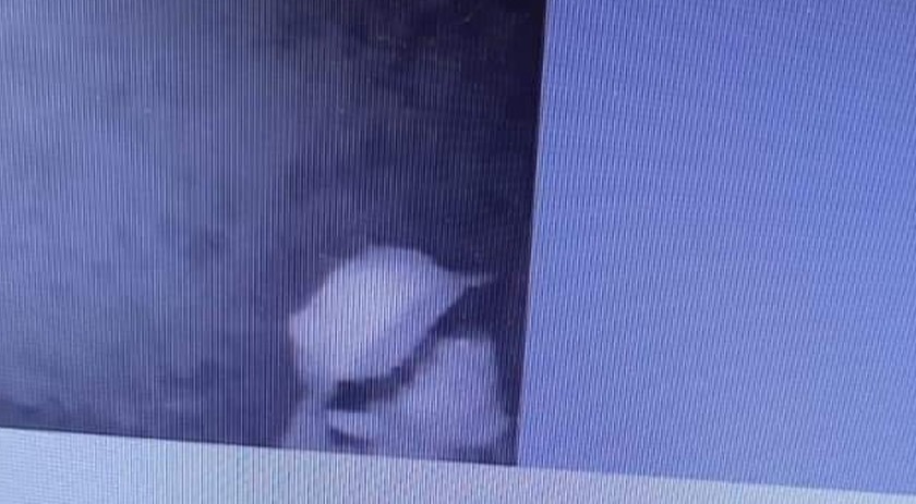 Homem tenta furtar APAE de Santa Izabel do Oeste