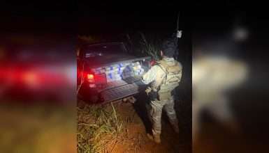 Mais de 400 kg de maconha são apreendidos pela PF e PM