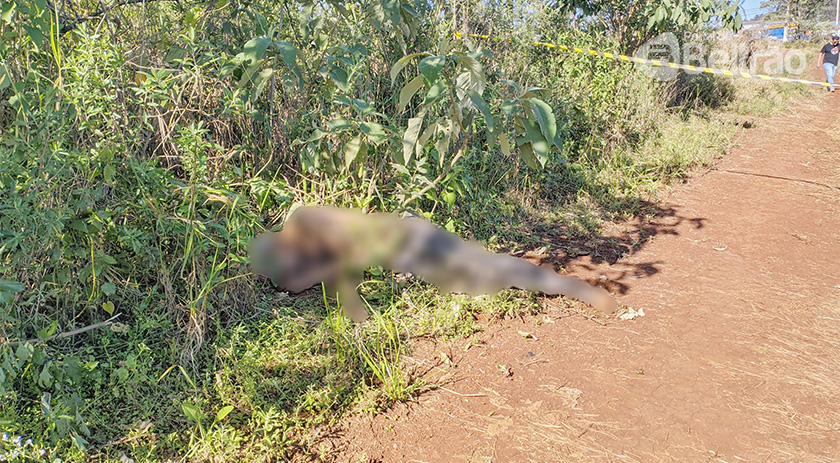 Corpo é encontrado próximo à UPA