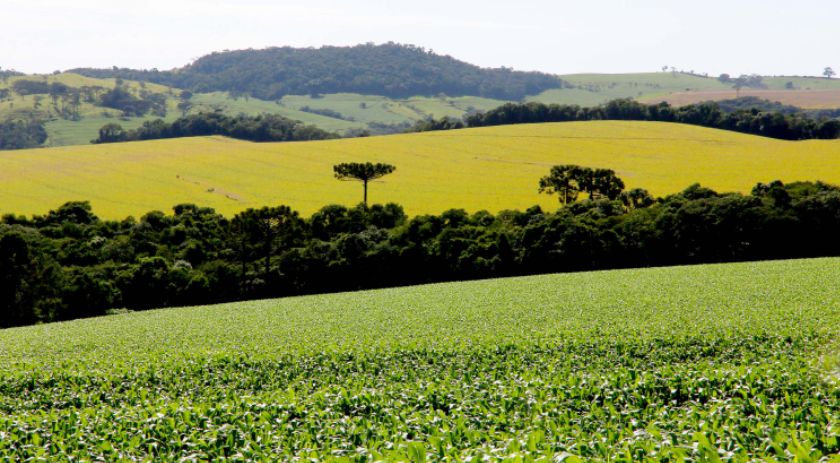 PIB do Paraná cresce 8,6% no primeiro semestre, mais que o dobro da média nacional