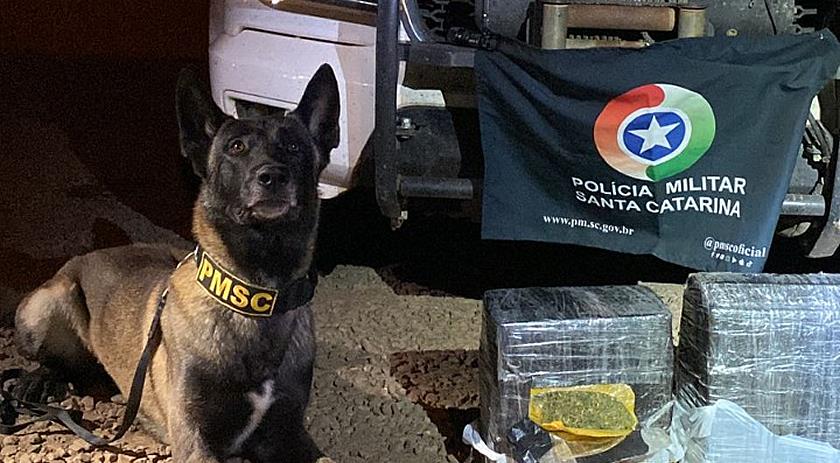 Adolescente é detido com quase 21kg de maconha