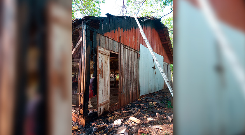 Aviário pega fogo ne Linha São Valentin