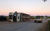 Caminhão carregado com porcos tomba na PRC-280