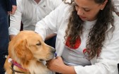 Projeto Patas que Acolhem começa a funcionar