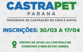 Programa Castrapet abre inscrições, em Francisco Beltrão